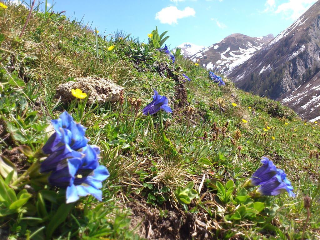 Ferienwohnungen Bailom Elbigenalp Exterior photo